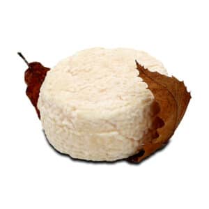 Mothias Sur Feuille