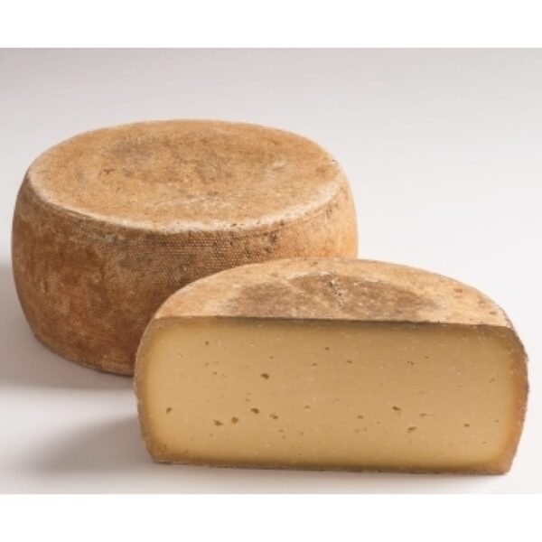 Lord 550g (1/8 Wheel)