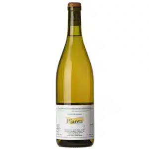Etna Bianco 'Pianta'