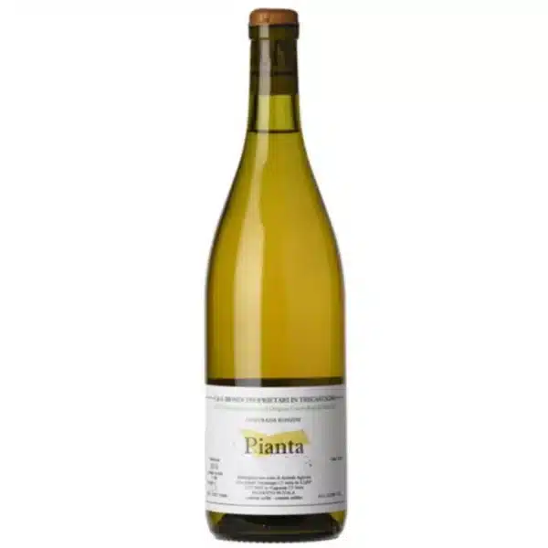Etna Bianco 'Pianta'