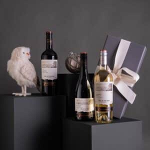 Wine Pack 6 - Chilean