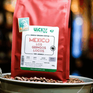 Mexico 'Los Gringos Locos'