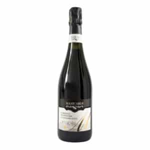 Lambrusco Grasparossa di Castelvetro Amabile
